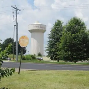 Toilet Installation, Collierville TN